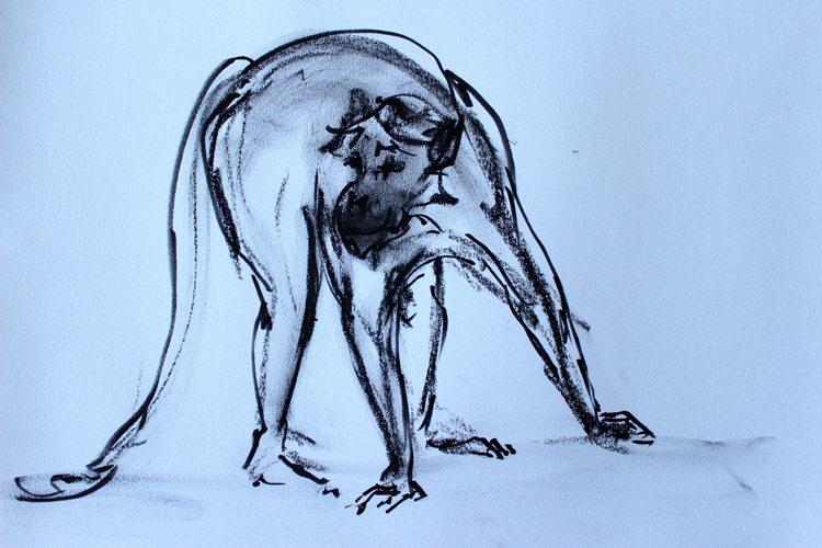 Monkey sketch - 2015